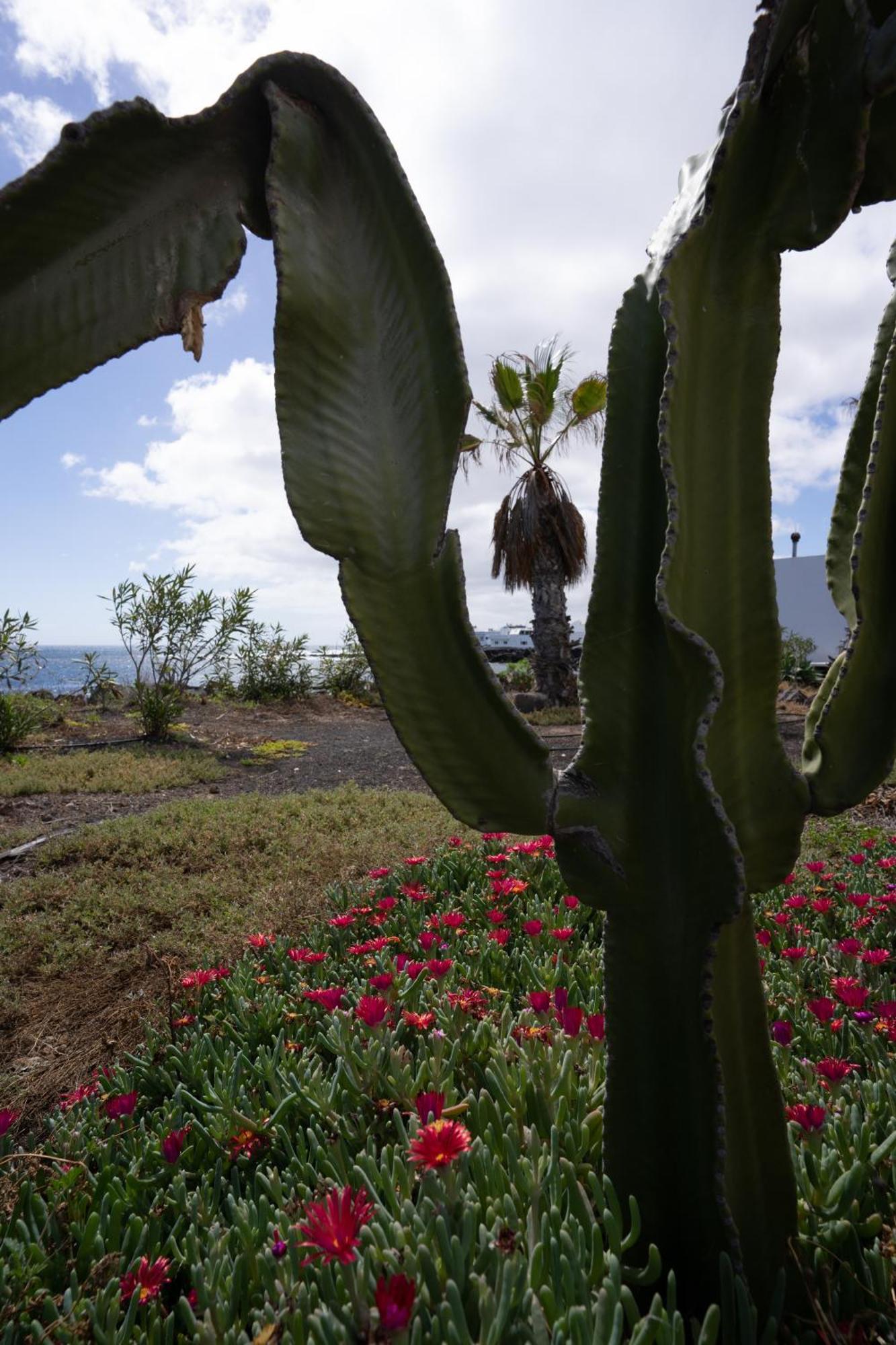 Casa La Seba Villa Punta Mujeres ภายนอก รูปภาพ